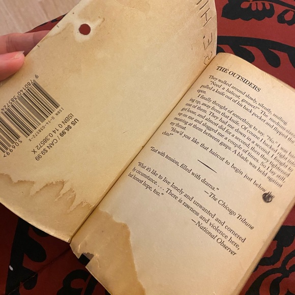 🟢The Outsiders Book - Picture 2 of 6